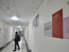 Ảnh bìa bài viết 337921