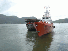 Ảnh bìa bài viết 337971