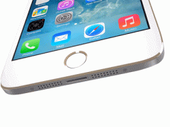 Ảnh bìa bài viết 338032