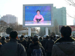 Ảnh bìa bài viết 338075