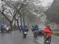 Ảnh bìa bài viết 338109