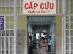 Ảnh bìa bài viết 338301