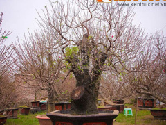 Ảnh bìa bài viết 338201