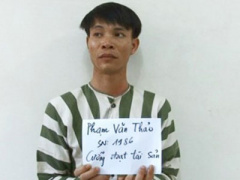 Ảnh bìa bài viết 338126
