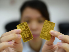 Ảnh bìa bài viết 338237