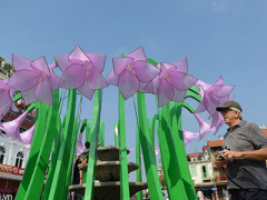 Ảnh bìa bài viết 338148