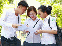 Ảnh bìa bài viết 338304