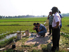 Ảnh bìa bài viết 338223
