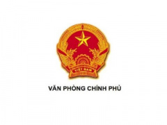 Ảnh bìa bài viết 338103