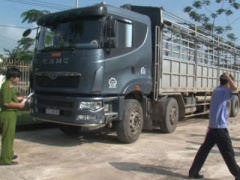 Ảnh bìa bài viết 338281
