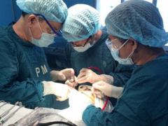 Ảnh bìa bài viết 338454