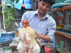 Ảnh bìa bài viết 338326