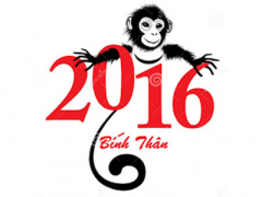 Ảnh bìa bài viết 338322