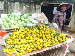 Ảnh bìa bài viết 338429