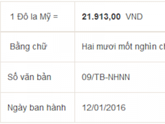 Ảnh bìa bài viết 338390