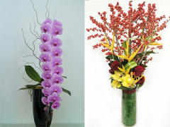 Ảnh bìa bài viết 338688