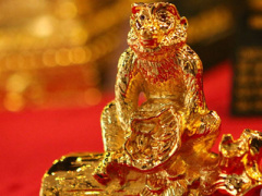 Ảnh bìa bài viết 338669