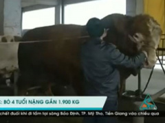 Ảnh bìa bài viết 338552