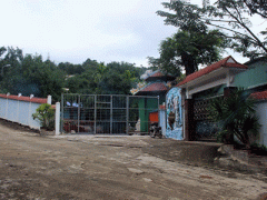 Ảnh bìa bài viết 338719