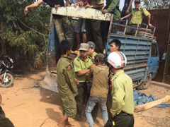 Ảnh bìa bài viết 338635