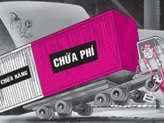 Ảnh bìa bài viết 338746