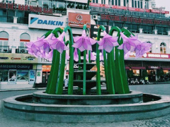 Ảnh bìa bài viết 339399