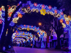 Ảnh bìa bài viết 339416