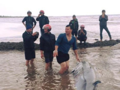 Ảnh bìa bài viết 339502