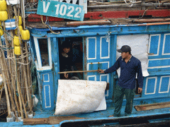 Ảnh bìa bài viết 339524