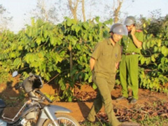 Ảnh bìa bài viết 339594