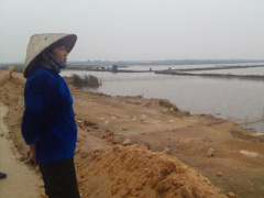 Ảnh bìa bài viết 339836