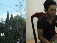 Ảnh bìa bài viết 339755