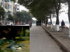 Ảnh bìa bài viết 339806