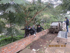 Ảnh bìa bài viết 340715