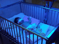 Ảnh bìa bài viết 340931