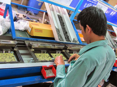 Ảnh bìa bài viết 341031