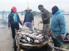 Ảnh bìa bài viết 341075