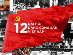 Ảnh bìa bài viết 341310
