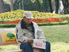 Ảnh bìa bài viết 341316