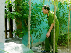 Ảnh bìa bài viết 341266
