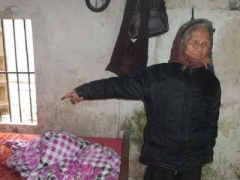 Ảnh bìa bài viết 341576