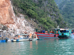 Ảnh bìa bài viết 341596