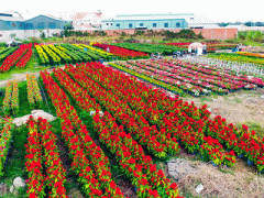 Ảnh bìa bài viết 341588