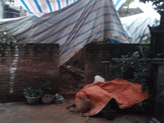 Ảnh bìa bài viết 341742