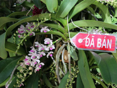 Ảnh bìa bài viết 341652