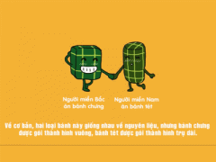 Ảnh bìa bài viết 341696