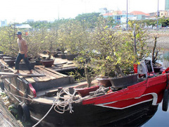 Ảnh bìa bài viết 341666