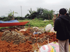 Ảnh bìa bài viết 341745