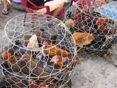 Ảnh bìa bài viết 341728