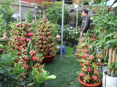 Ảnh bìa bài viết 341833